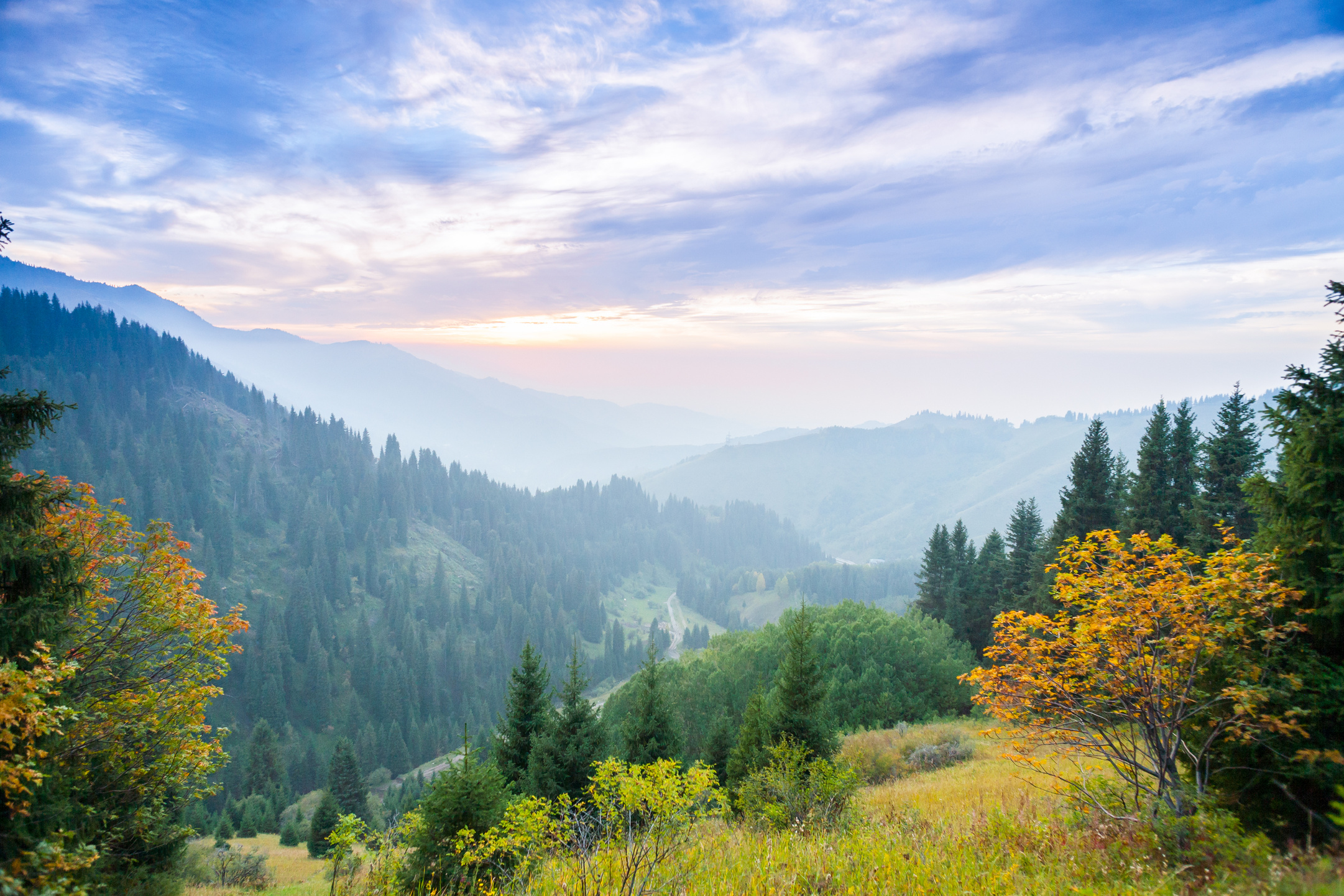 Forested mountains